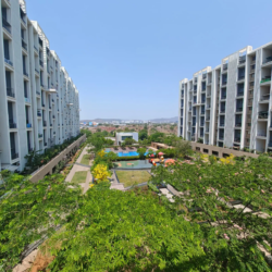 ashok meadows hinjewadi